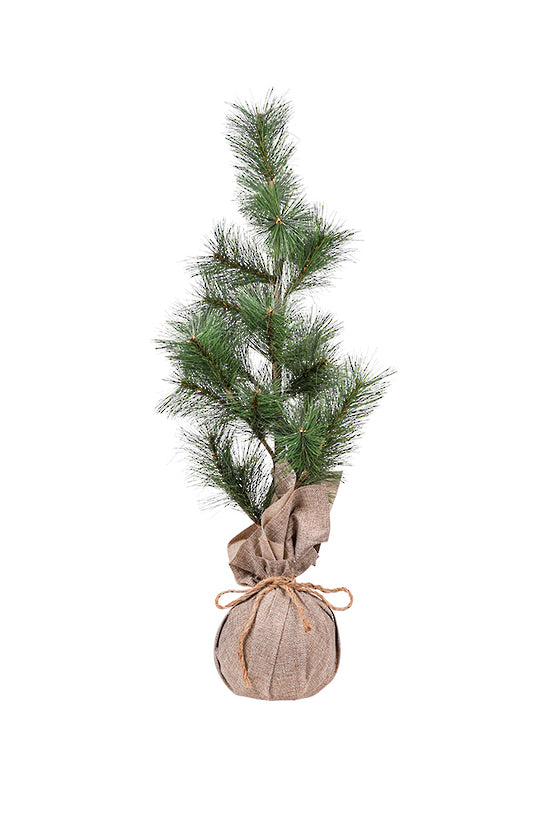 Large Table Top Tree in Burlap