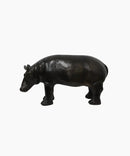 Hippopotamus Oxy Black Large