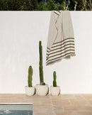 Bankskia Throw Avocado