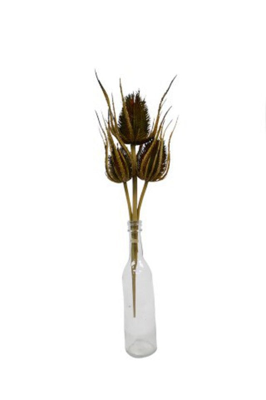 Dried Thistle 3 Bundle