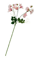 Sweetpea Pink Spray