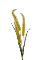 Fountain Grass Spray