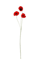 Poppy Spray 61 cm