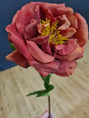 Damask Rose Orange