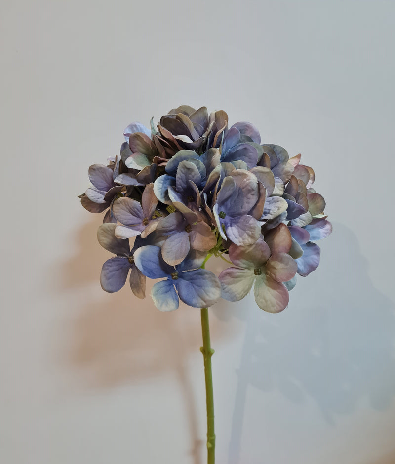 Winter Hydrangea Purple/Blue