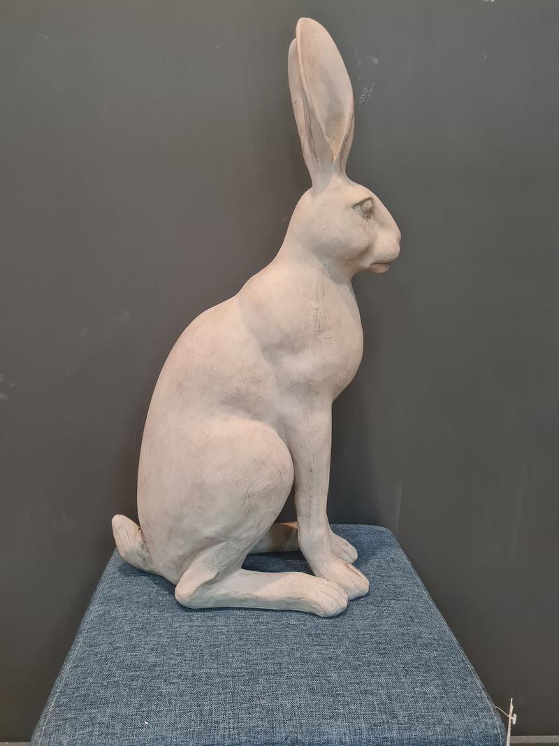 Harold the Hare in White