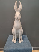 Harold the Hare in White