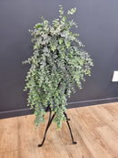 Potted Hanging Eucalyptus Grey