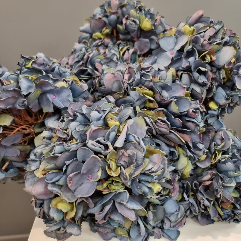 Dried-Look Hydrangea Blue