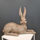 Harold Hare Lying To The Right Brown