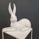 Harold Hare Lying To The Left White