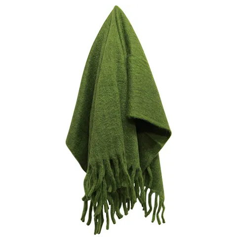Solid Fringed Green Throw