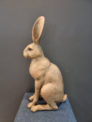 Harold the Hare in Brown