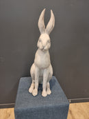 Harold the Hare in Grey
