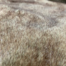 Heirloom Faux Fur throw- Bear Cub