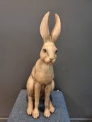 Harold the Hare in Brown